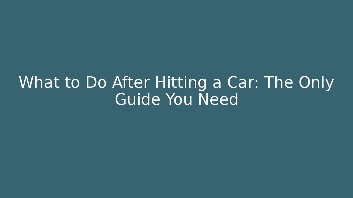 What to Do After Hitting a Car: The Only Guide You Need