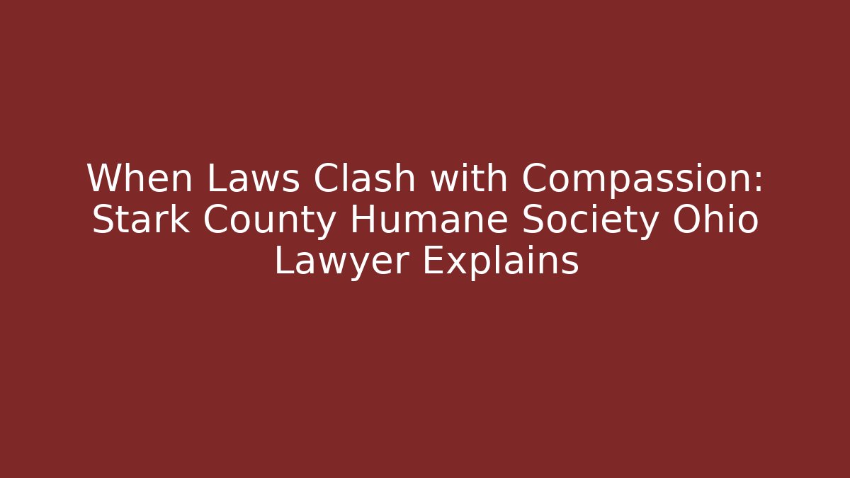 When Laws Clash with Compassion: Stark County Humane Society Ohio Lawyer Explains
