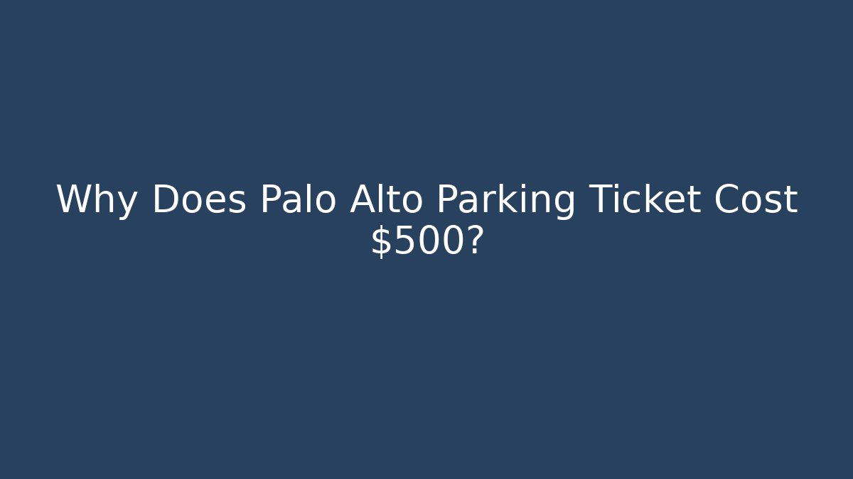 Why Does Palo Alto Parking Ticket Cost $500? - Magmic
